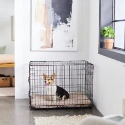 Frisco Swirl Dog Crate Mat 12 Frisco Swirl Dog Crate Mat -Dog Supplies Store 110506 PT5. AC SS1800 V1635258765