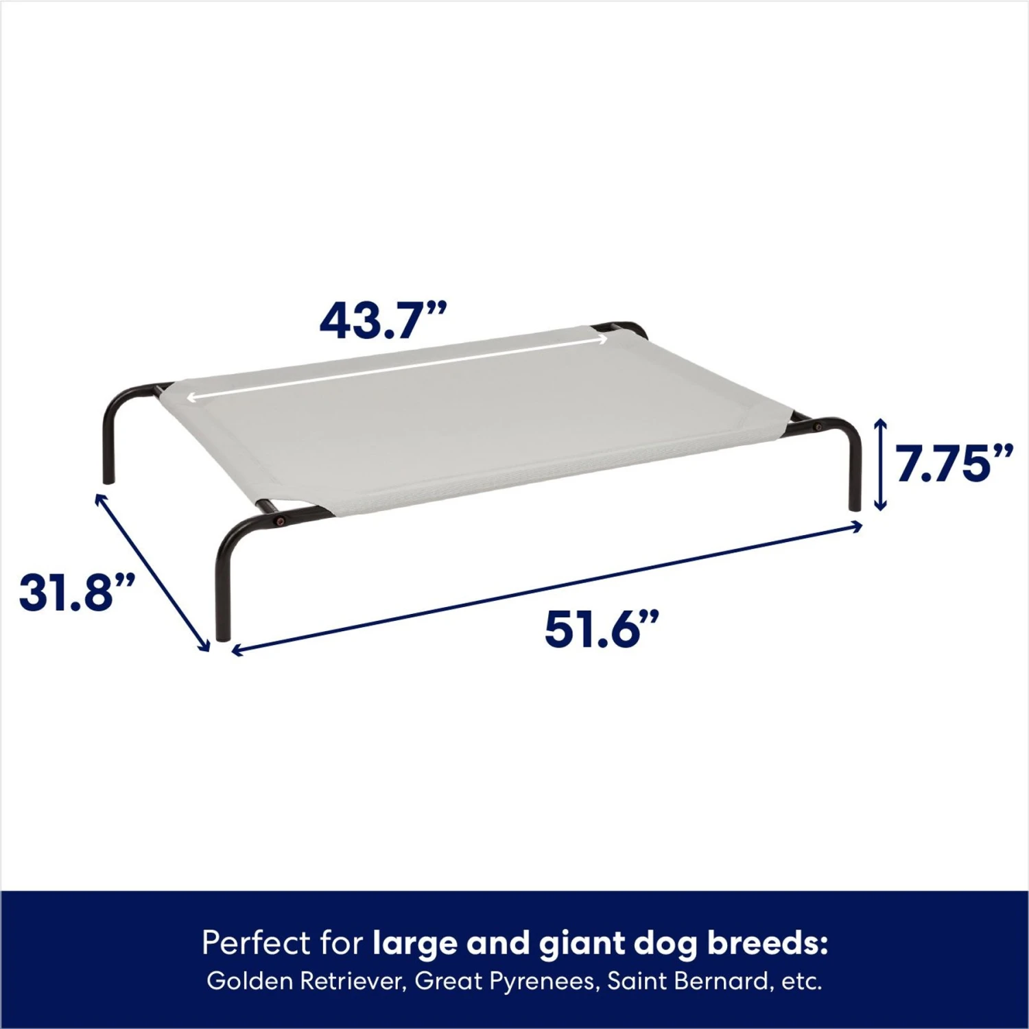 Frisco Steel-Framed Elevated Dog Bed 4 Frisco Steel-Framed Elevated Dog Bed - Image 2