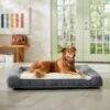 Frisco Plush Orthopedic Bolster Dog Bed W/Removable Cover 1 Frisco Plush Orthopedic Bolster Dog Bed W/Removable Cover -Dog Supplies Store 129511 MAIN. AC SS1800 V1674157635