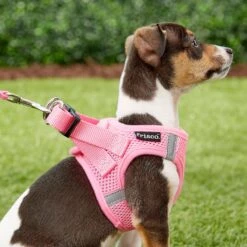 Frisco Small Breed Soft Vest Step In Back Clip Dog Harness -Dog Supplies Store 139821 PT5. AC SS1800 V1561573781