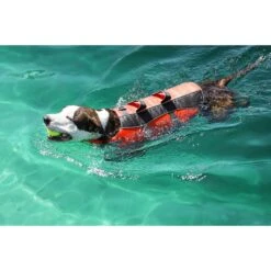 Frisco Ripstop Dog Life Jacket -Dog Supplies Store 140919 PT8. AC SS1800 V1540476454