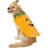 Frisco Pumpkin Dog & Cat Costume 1 Frisco Pumpkin Dog & Cat Costume -Dog Supplies Store 144446 MAIN. AC SS1800 V1540495184