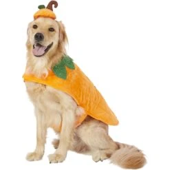 Frisco Pumpkin Dog & Cat Costume -Dog Supplies Store 144446 PT2. AC SS1800 V1567174700