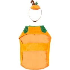 Frisco Pumpkin Dog & Cat Costume -Dog Supplies Store 144446 PT4. AC SS1800 V1567176587