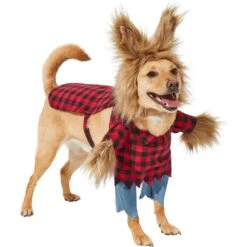 Frisco Front Walking Werewolf Dog & Cat Costume -Dog Supplies Store 144561 PT3. AC SS1800 V1624402152
