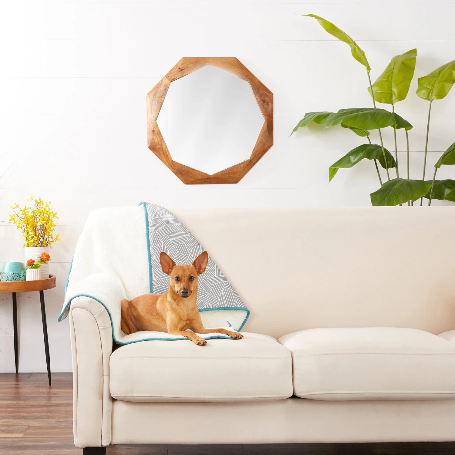 Frisco Sherpa Dog & Cat Blanket 2 Frisco Sherpa Dog & Cat Blanket