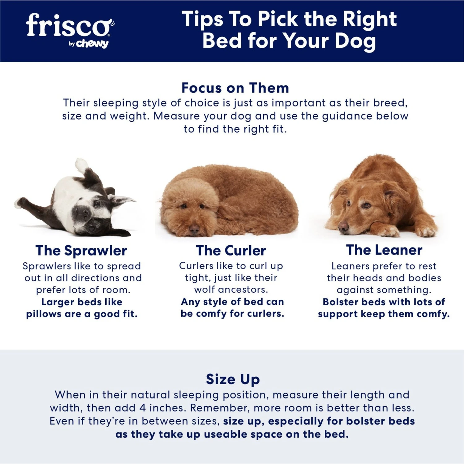 Frisco Plush Orthopedic Front Bolster Cat & Dog Bed W/Removable Cover 8 Frisco Plush Orthopedic Front Bolster Cat & Dog Bed W/Removable Cover - Image 6