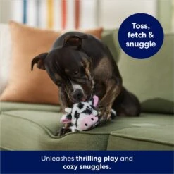 Frisco Cow Plush Squeaky Dog Toy -Dog Supplies Store 147003 PT3. AC SS1800 V1686079871