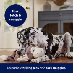 Frisco Monkey Plush Squeaky Dog Toy -Dog Supplies Store 147043 PT5. AC SS1800 V1686580080