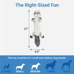 Frisco Raccoon Skinny Plush Squeaky Dog Toy 7 Frisco Raccoon Skinny Plush Squeaky Dog Toy -Dog Supplies Store 147045 PT2. AC SS1800 V1539205484