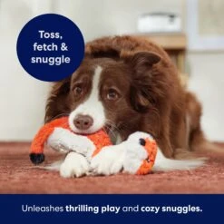 Frisco Fox Skinny Plush Squeaky Dog Toy 12 Frisco Fox Skinny Plush Squeaky Dog Toy -Dog Supplies Store 147049 PT5. AC SS1800 V1691776638