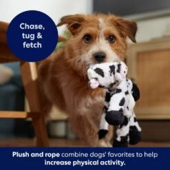 Frisco Cow Plush With Inside Rope Squeaky Dog Toy -Dog Supplies Store 147063 PT5. AC SS1800 V1691776574