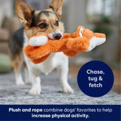 Frisco Fox Plush With Inside Rope Squeaky Dog Toy -Dog Supplies Store 147065 PT4. AC SS1800 V1695671059