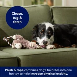 Frisco Monkey Plush With Rope Squeaky Dog Toy 10 Frisco Monkey Plush With Rope Squeaky Dog Toy -Dog Supplies Store 147067 PT4. AC SS1800 V1686079871