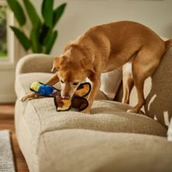 Frisco Duck Flat Plush Squeaky Dog Toy 8 Frisco Duck Flat Plush Squeaky Dog Toy -Dog Supplies Store 147069 PT3. AC SS1800 V1674158058