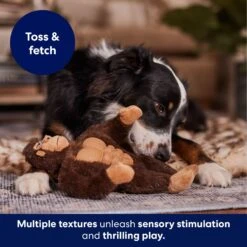 Frisco Gorilla Muscle Plush Squeaky Dog Toy -Dog Supplies Store 147084 PT5. AC SS1800 V1694182068