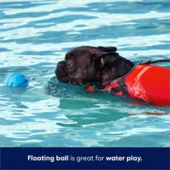 Frisco Foam Rubber Floating Fetch Ball No Squeak Dog Toy 11 Frisco Foam Rubber Floating Fetch Ball No Squeak Dog Toy -Dog Supplies Store 152798 PT3. AC SS1800 V1686579688