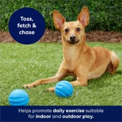 Frisco Foam Rubber Floating Fetch Ball No Squeak Dog Toy 12 Frisco Foam Rubber Floating Fetch Ball No Squeak Dog Toy -Dog Supplies Store 152798 PT4. AC SS1800 V1686579140