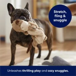 Frisco Beaver Bungee Plush Squeaky Dog Toy -Dog Supplies Store 152824 PT5. AC SS1800 V1686580146