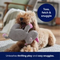 Frisco Rhino Corduroy Plush Squeaky Dog Toy 12 Frisco Rhino Corduroy Plush Squeaky Dog Toy -Dog Supplies Store 152828 PT4. AC SS1800 V1695659205