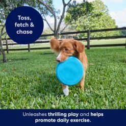 Frisco Fetch Rubber Flyer Dog Toy -Dog Supplies Store 152848 PT5. AC SS1800 V1692370079
