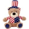 Frisco American Flag Bear Plush Squeaky Dog Toy -Dog Supplies Store 157187 Main. AC SS1800 V1559764050