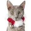Frisco Jingle Bells Dog & Cat Holiday Collar With Bells, 1 Count 1 Frisco Jingle Bells Dog & Cat Holiday Collar With Bells, 1 Count -Dog Supplies Store 160063 MAIN. AC SS1800 V1663948848