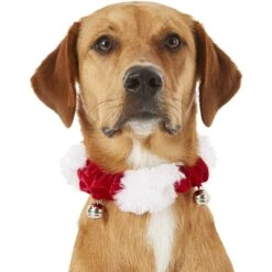 Frisco Jingle Bells Dog & Cat Holiday Collar With Bells, 1 Count 10 Frisco Jingle Bells Dog & Cat Holiday Collar With Bells, 1 Count -Dog Supplies Store 160063 PT2. AC SS1800 V1669101088