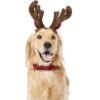 Frisco Holiday Antler Headband & Bell Collar Dog & Cat Costume -Dog Supplies Store 160658 Main. AC SS1800 V1568818034