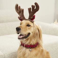 Frisco Holiday Antler Headband & Bell Collar Dog & Cat Costume -Dog Supplies Store 160658 PT4. AC SS1800 V1568818037