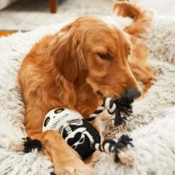 Frisco Halloween Skeleton Plush With Rope Squeaky Dog Toy -Dog Supplies Store 161358 PT6. AC SS1800 V1597599370