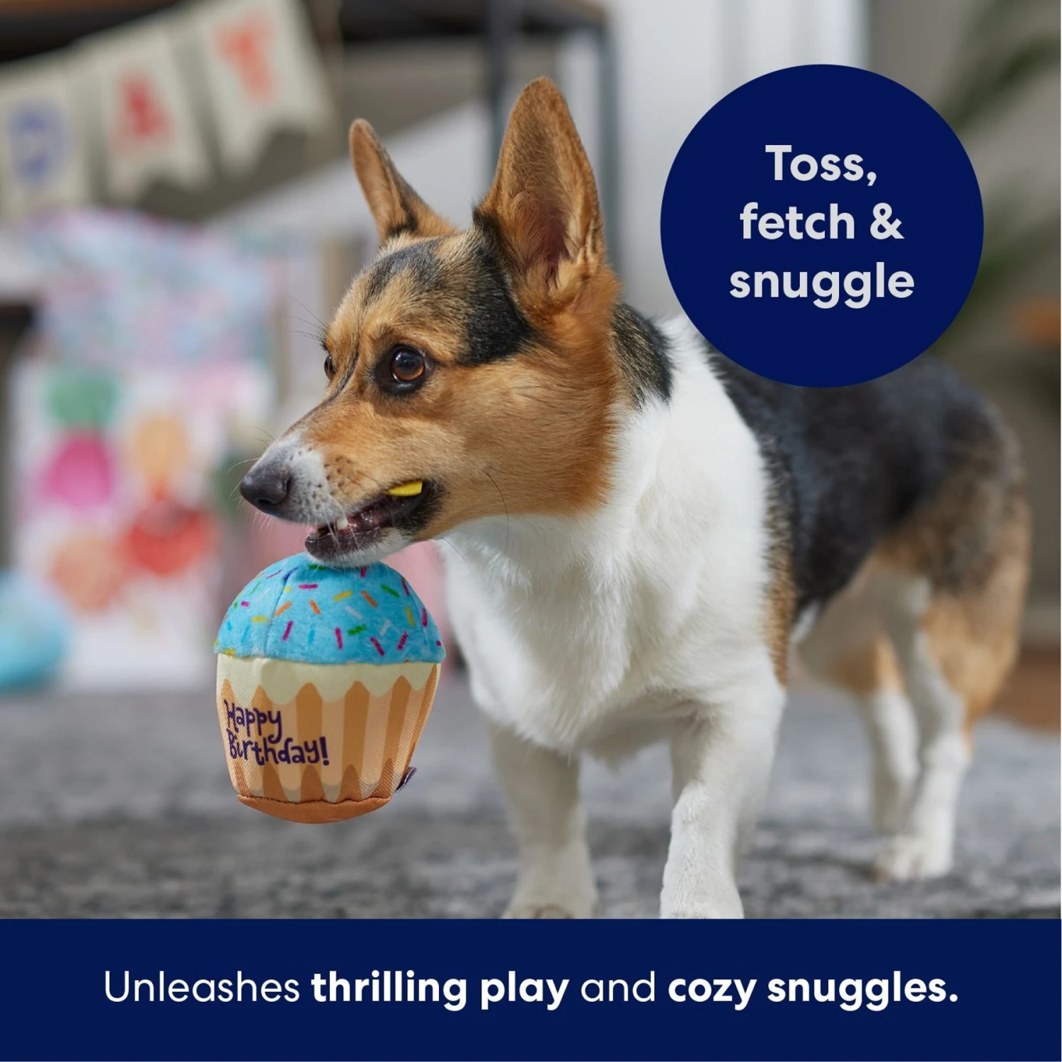 Frisco Birthday Cupcake Plush Squeaky Dog Toy 7 Frisco Birthday Cupcake Plush Squeaky Dog Toy - Image 5