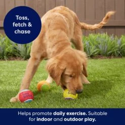 Frisco Birthday Fetch Squeaky Tennis Ball Dog Toy -Dog Supplies Store 162914 PT3. AC SS1800 V1692019914