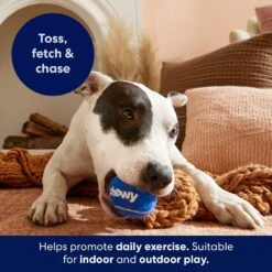 Frisco Chewy Fetch Squeaky Tennis Ball Dog Toy -Dog Supplies Store 164314 PT3. AC SS1800 V1691783970