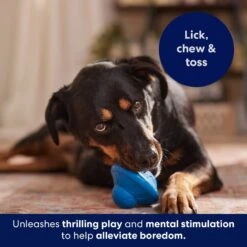 Frisco Flying Saucer Rubber Treat Dispenser Dog Toy 14 Frisco Flying Saucer Rubber Treat Dispenser Dog Toy -Dog Supplies Store 164757 PT5. AC SS1800 V1691784247