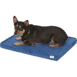 Frisco Quilted Orthopedic Pillow Cat & Dog Bed W/Removable Cover -Dog Supplies Store 165196 PT2. AC SS1800 V1568726226