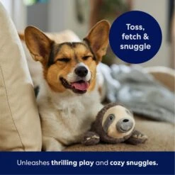 Frisco Sloth Plush Squeaky Dog Toy -Dog Supplies Store 174681 PT4. AC SS1800 V1695671029