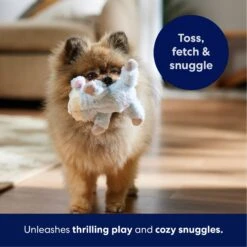 Frisco Lamb Plush Squeaky Dog Toy 12 Frisco Lamb Plush Squeaky Dog Toy -Dog Supplies Store 174686 PT4. AC SS1800 V1695659156