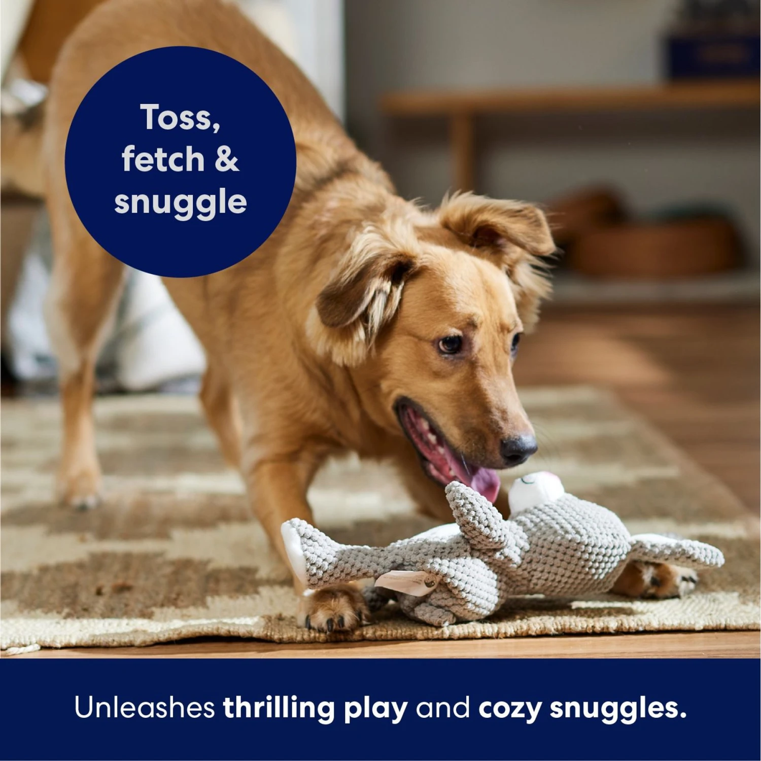 Frisco Bunny Textured Plush Squeaky Dog Toy 7 Frisco Bunny Textured Plush Squeaky Dog Toy - Image 5