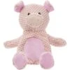 Frisco Pig Textured Plush Squeaky Dog Toy 1 Frisco Pig Textured Plush Squeaky Dog Toy -Dog Supplies Store 174695 Main. AC SS1800 V1572616376