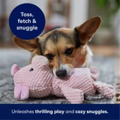 Frisco Pig Textured Plush Squeaky Dog Toy -Dog Supplies Store 174695 PT4. AC SS1800 V1695670689