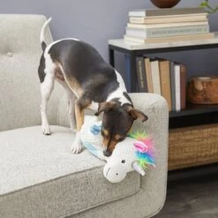 Frisco Unicorn Textured Plush Squeaky Dog Toy -Dog Supplies Store 174699 PT2. AC SS1800 V1573492386