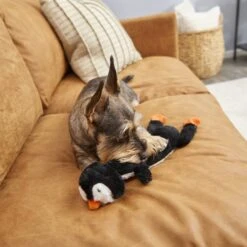 Frisco Penguin Skinny Plush Squeaky Dog Toy 7 Frisco Penguin Skinny Plush Squeaky Dog Toy -Dog Supplies Store 174707 PT2. AC SS1800 V1573492672