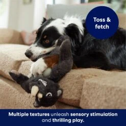 Frisco Rhino Muscle Plush Squeaky Dog Toy -Dog Supplies Store 174719 PT3. AC SS1800 V1691784246