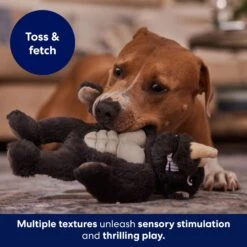 Frisco Rhino Muscle Plush Squeaky Dog Toy -Dog Supplies Store 174719 PT5. AC SS1800 V1694182068