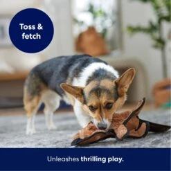 Frisco Beaver Stuffing-Free Flat Plush Squeaky Dog Toy 12 Frisco Beaver Stuffing-Free Flat Plush Squeaky Dog Toy -Dog Supplies Store 174729 PT4. AC SS1800 V1695671063