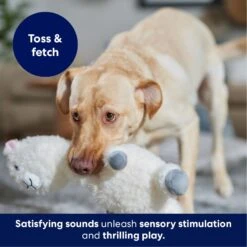 Frisco Llama Bobberz Plush Squeaky Dog Toy 12 Frisco Llama Bobberz Plush Squeaky Dog Toy -Dog Supplies Store 174741 PT4. AC SS1800 V1695671063