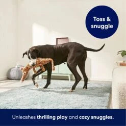 Frisco Giraffe Wagazoo Plush Squeaky Dog Toy -Dog Supplies Store 174745 PT4. AC SS1800 V1695748354