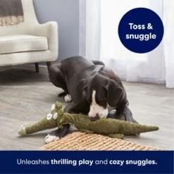 Frisco Triceratops Wagazoo Plush Squeaky Dog Toy -Dog Supplies Store 174747 PT4. AC SS1800 V1695748419