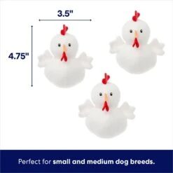 Frisco Chicken Coop Hide & Seek Puzzle Plush Squeaky Dog Toy -Dog Supplies Store 174755 PT2. AC SS1800 V1691783968